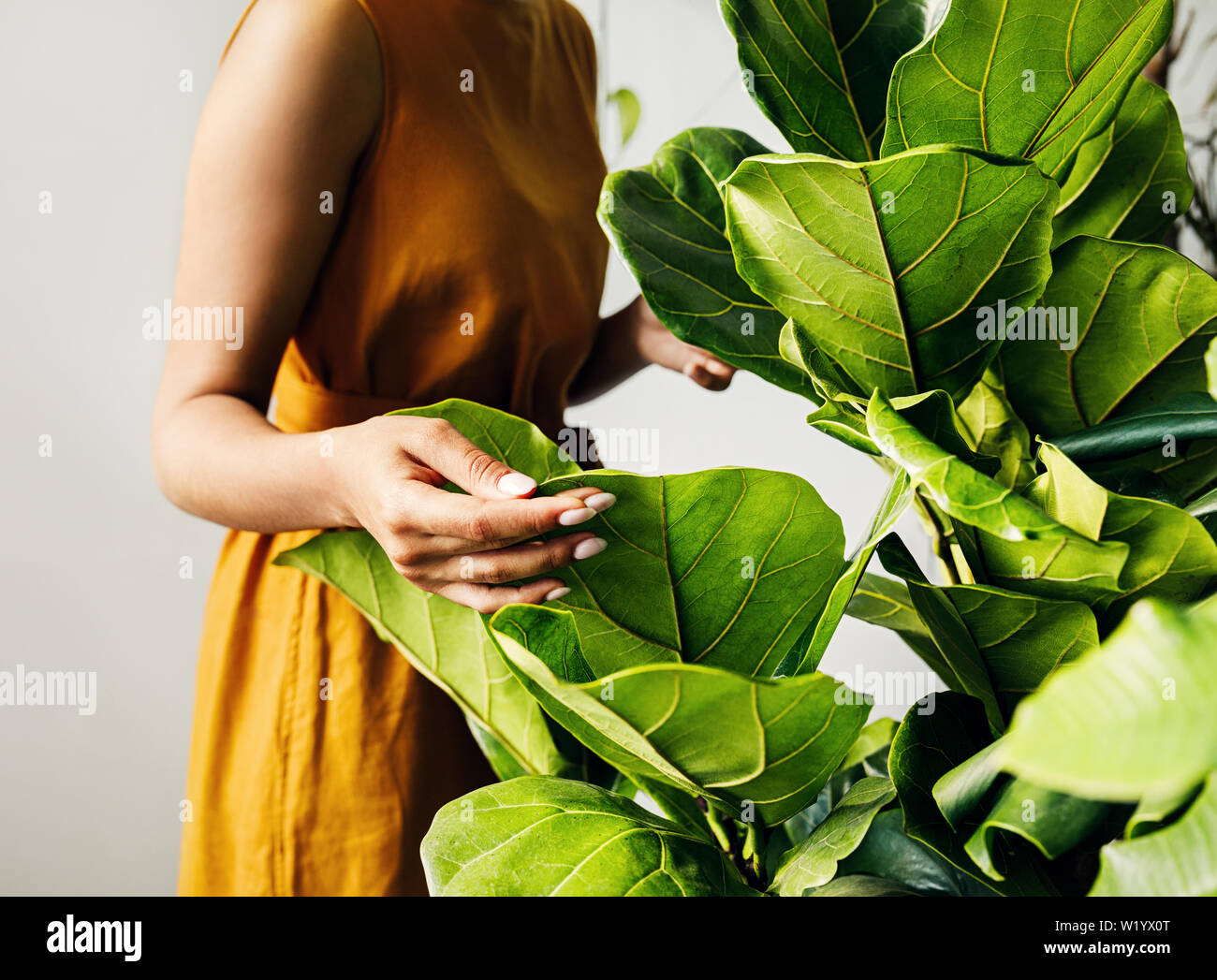 Die Hand eines jungen Botaniker Holding ein Blatt. Frau Blumenhändler in Pflanzen shop arbeiten. Stockfoto