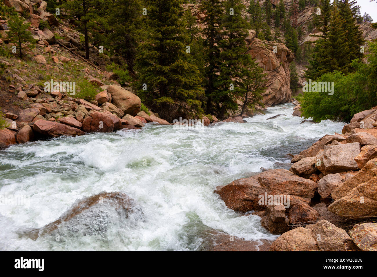 Die South Platte River Oberlauf durch Elf Mile Canyon, Colorado fließt, darunter auch einige Hirsche, die den Platz zu Hause anrufen. Stockfoto