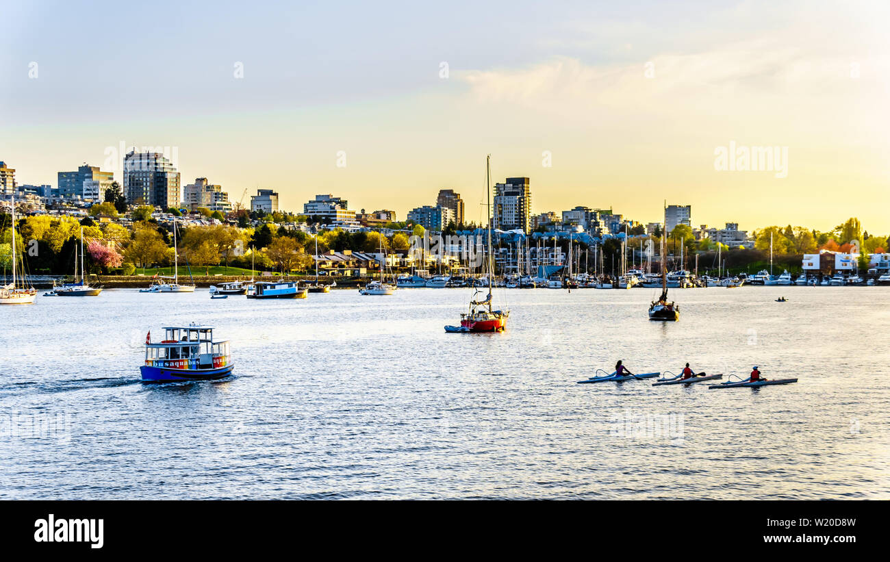 Kajaks Praxis in False Creek Einlass bei Sonnenuntergang an einem schönen Frühlingstag in Vancouver, British Columbia, Kanada Stockfoto