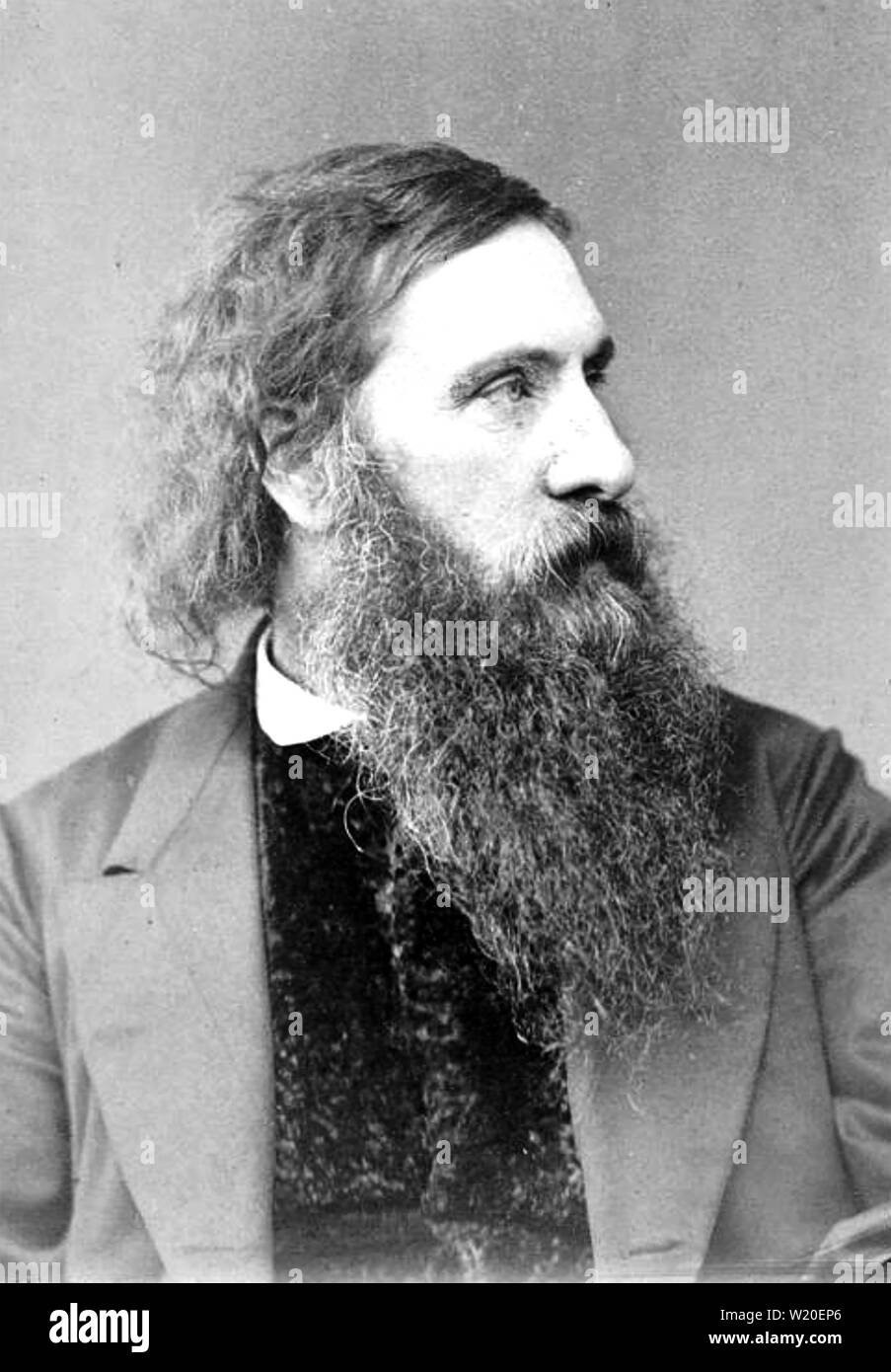 GEORGE MacDONALD (1824-1905) schottischer Autor und Dichter Stockfoto