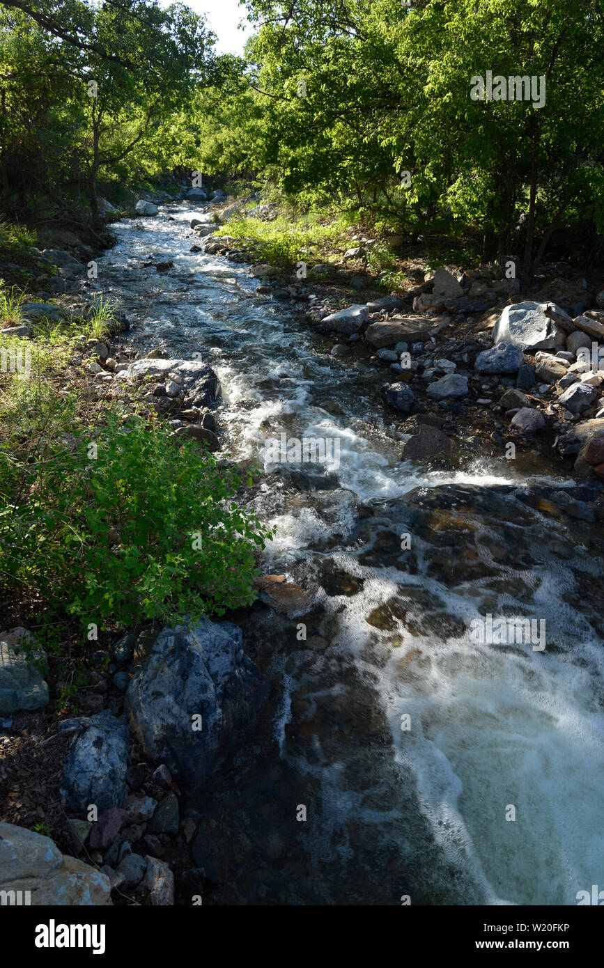 Monsunregen schwillt an einem Bach in der Nähe von Florida Canyon, Sonoran Wüste, Coronado National Forest, Santa Rita Mountains, Sahuarita, Arizona, USA. Stockfoto