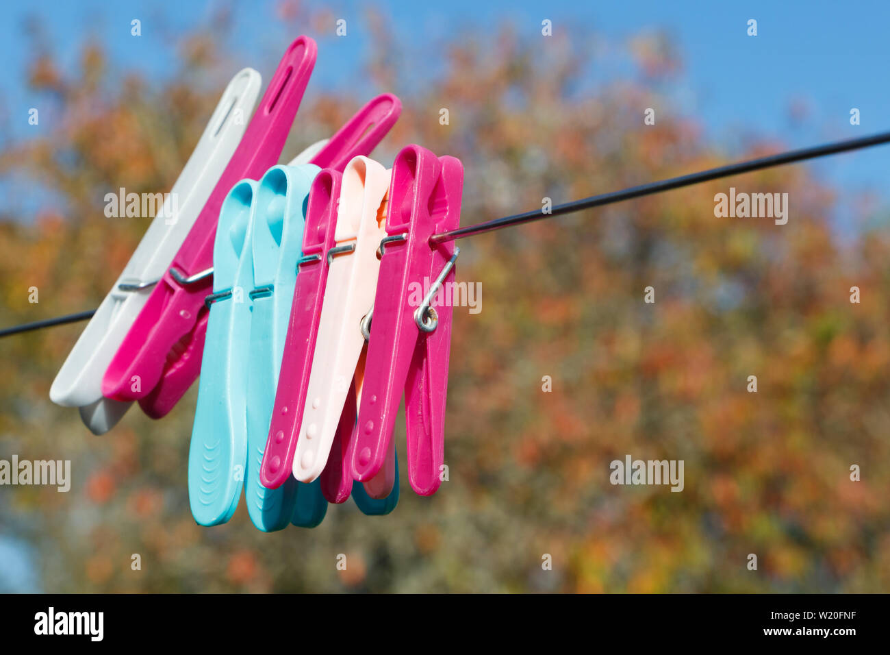 Blau und Rosa Kleidung Pins auf eine Wäscheleine im Garten Stockfoto