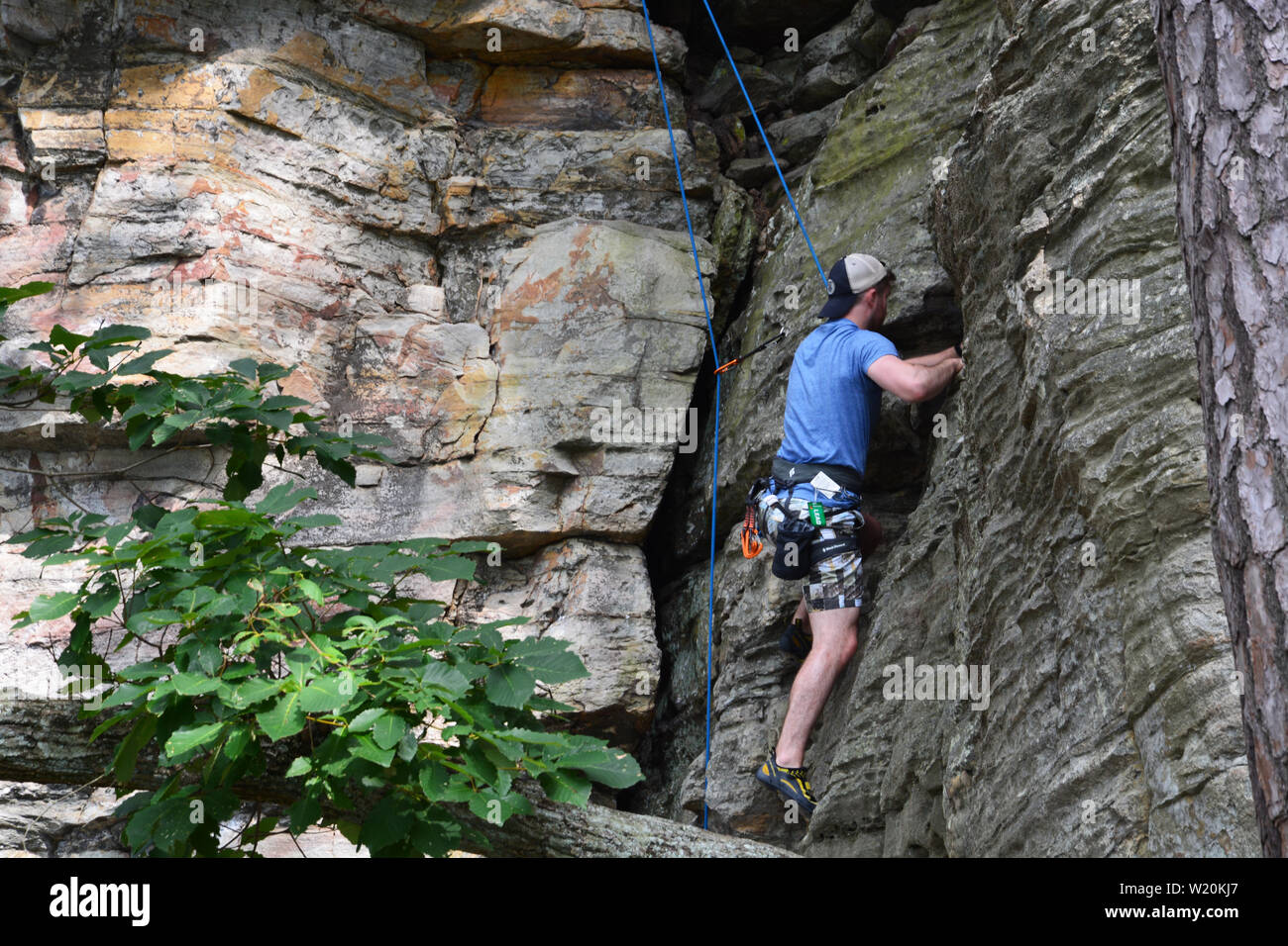 Ein junges Männchen Kletterer Werke seiner Weise, eine Felswand auf dem Sims Feder Trail in Pilot Mountain State Park in North Carolina. Stockfoto