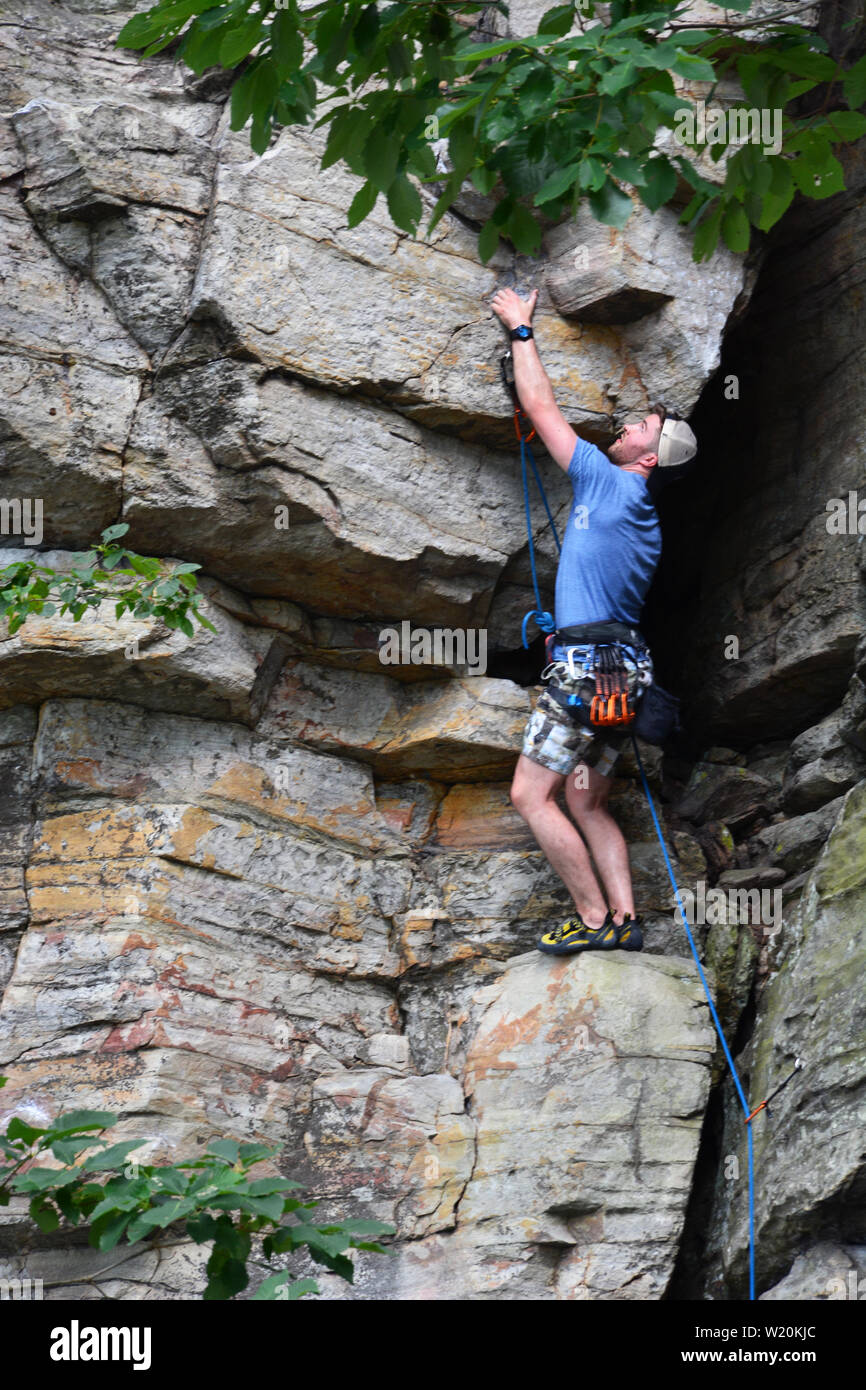 Ein junges Männchen Kletterer Werke seiner Weise, eine Felswand auf dem Sims Feder Trail in Pilot Mountain State Park in North Carolina. Stockfoto