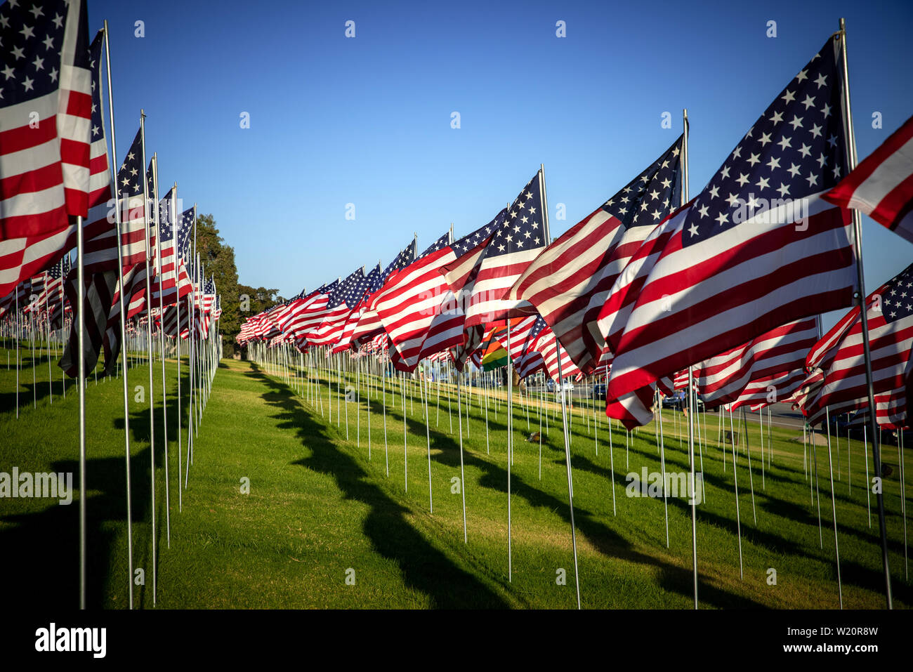 Eine große Gruppe von amerikanische Flaggen. Veteranen oder Memorial Day Anzeige Stockfoto