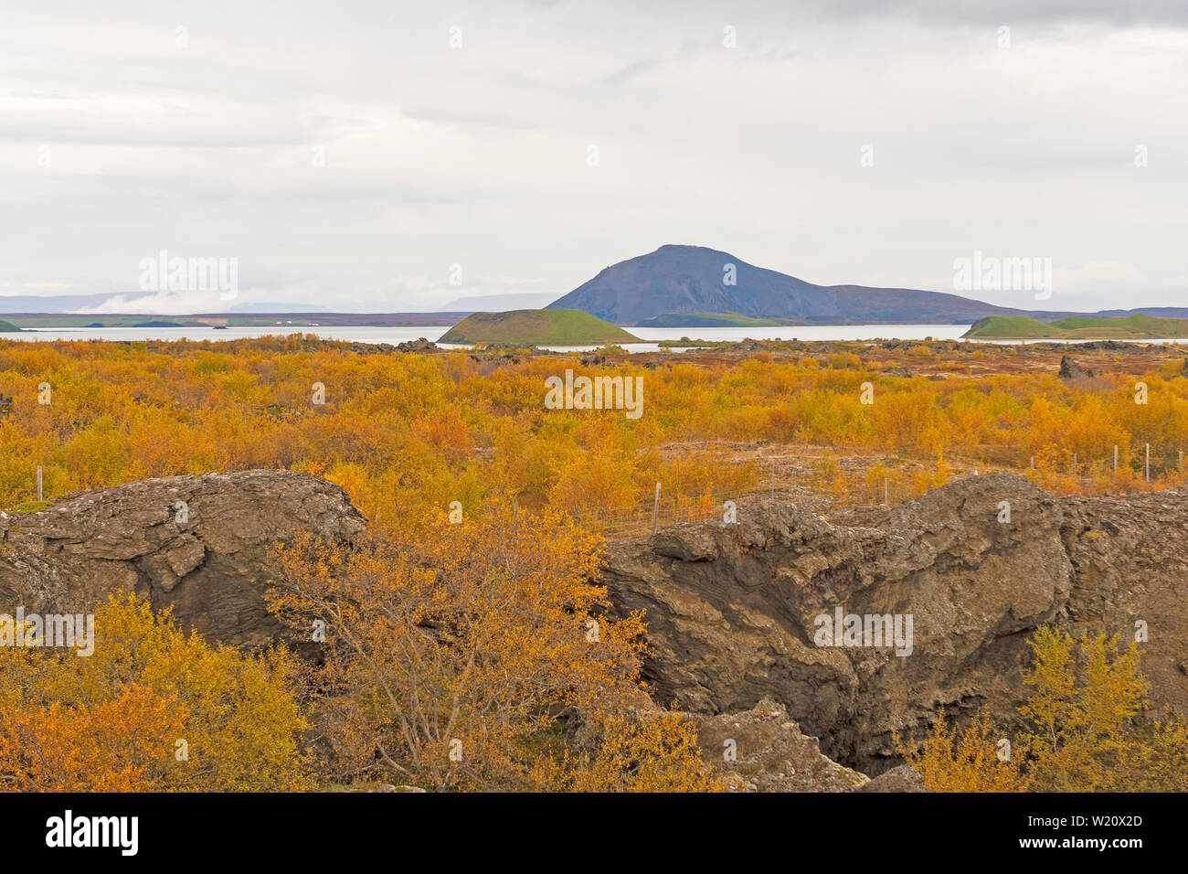 Herbstfarben im Norden Islands in der Nähe von Mývatn in Island Stockfoto