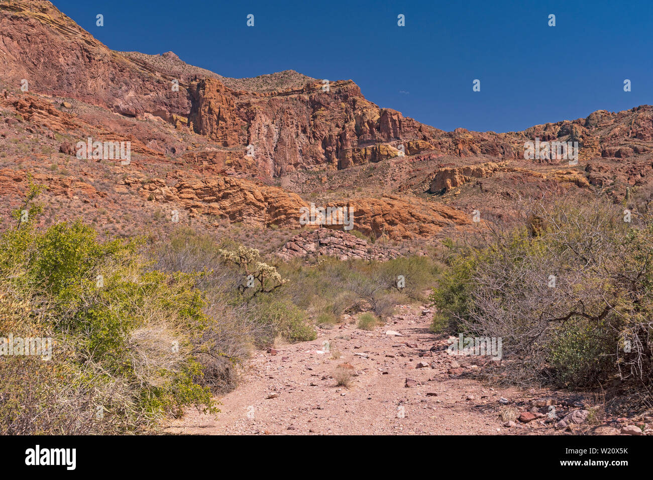 Wüste Berge gesehen von einer Wüste Waschen in Orgel Piepe Cactus National Monument im Arizona Stockfoto