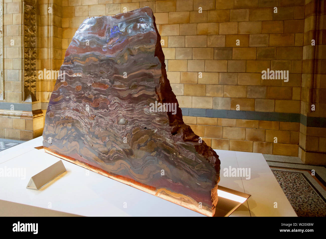 Natural History Museum, Cromwell Road, South Kensington, Royal Borough von Kensington und Chelsea - Zeileneisenformation Stockfoto