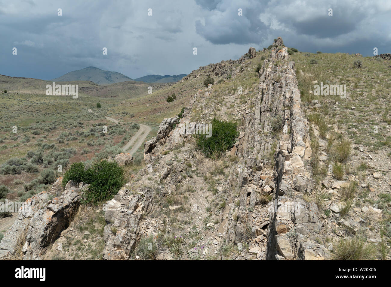 Senkrecht eintauchen sedimentären Betten aus Kalkstein, südwestliche Montana Stockfoto