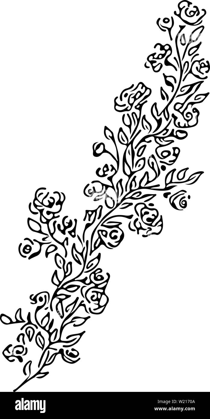 Handgezeichnete Vektorgrafiken von abstrakten Pfingstrose isoliert auf weißem Hintergrund. Floral Design Elemente für Einladungen, Grußkarten, Poster Stock Vektor