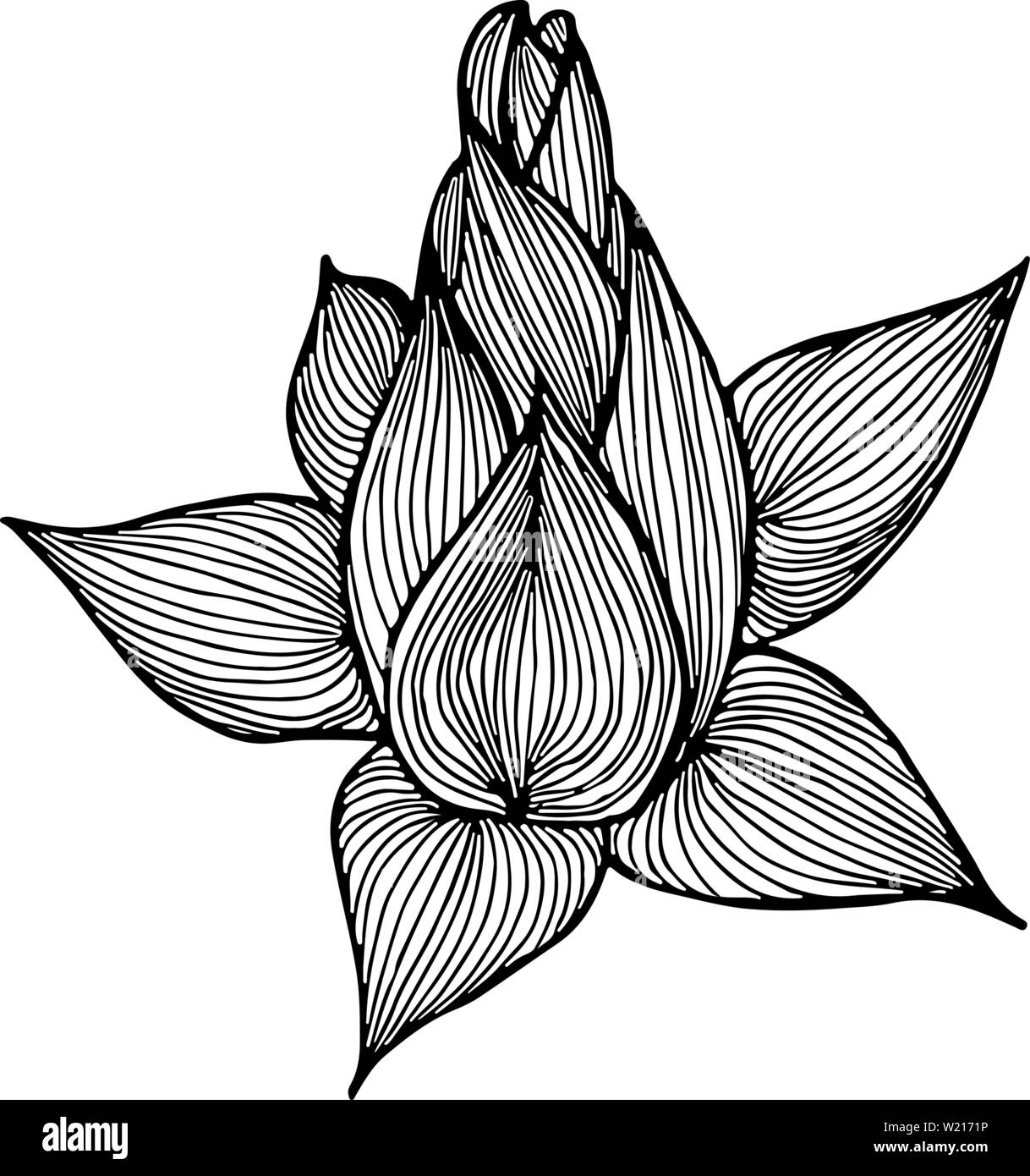 Lilly logo Schwarzweiß-Stockfotos und -bilder - Alamy