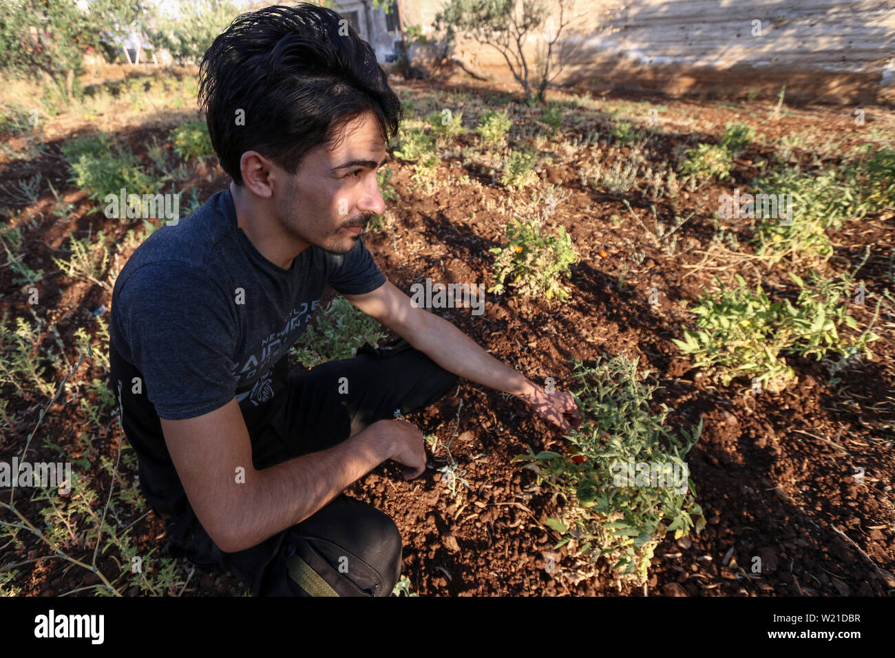 02 Juli 2019, Syrien, Kafar Awid: Die ehemaligen Flüchtling Sakar al-Hassan (Name geändert), die von Deutschland nach Syrien zurückgekehrt ist, sitzt in seinem Garten unter Tomate Sträuchern. Der 24-Jährige in Deutschland im Jahr 2015 angekommen, wurde in einem Vorort von Bonn untergebracht und beantragte Asyl. Aber Anfang 2018 musste er aufgrund dessen, was er als "dringenden familiären Angelegenheit" zurückzukehren. Al-Hassan entschieden, freiwillig zurückzukehren, obwohl er in Deutschland geblieben. Al-Hassan, der hat keinen festen Job und hält den Kopf über Wasser mit Gelegenheitsjobs, bedauert seine Entscheidung heute. Er lebt im Süden der Provinz o Stockfoto