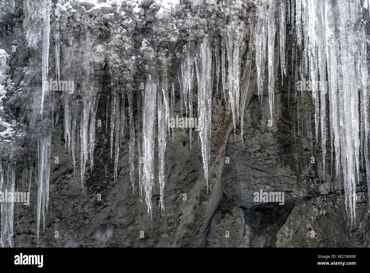 Lange Eiszapfen an einer Felswand, Partnachklamm im Winter, in der Nähe von Garmisch-Partenkirchen, Oberbayern, Bayern, Deutschland Stockfoto