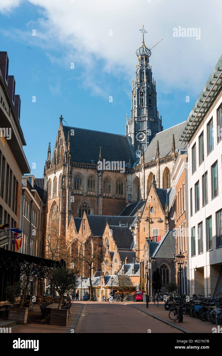 Gotische Kathedrale Sint-Bavokerk, Grote Markt, Haarlem, Provinz Nordholland, Friesland, Niederlande Stockfoto