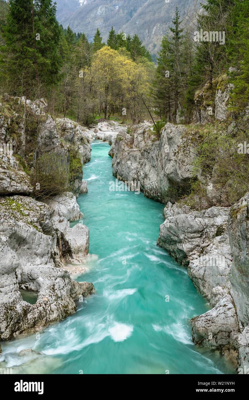 Smaragdgrün wilden Fluss Soca fließt durch die enge Schlucht, Soca Tal, Triglav Nationalpark, Bovec, Slowenien Stockfoto