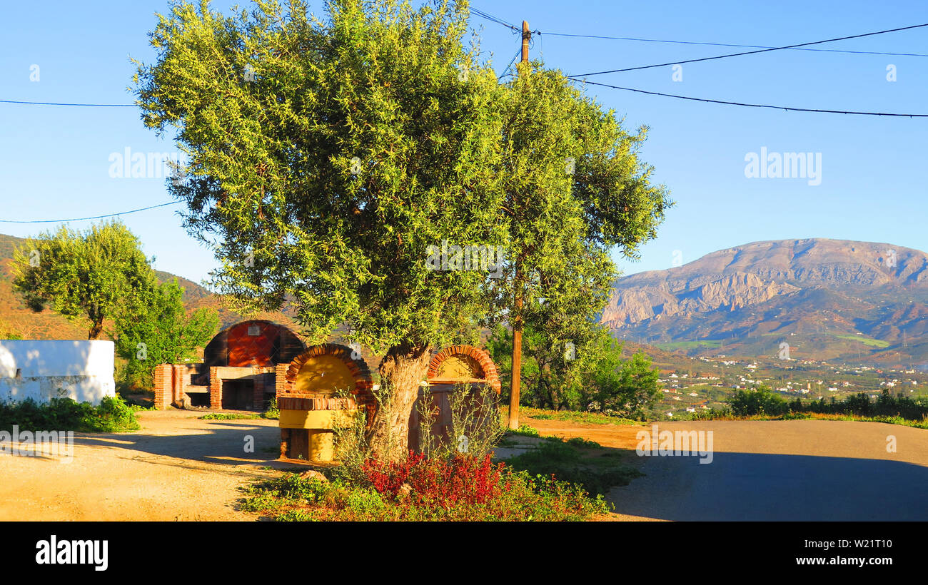 Große Backstein rustikalen Rinder trinken Trog und Barbeque unter Schattierung Olivenbäumen im ländlichen Andalusien Stockfoto