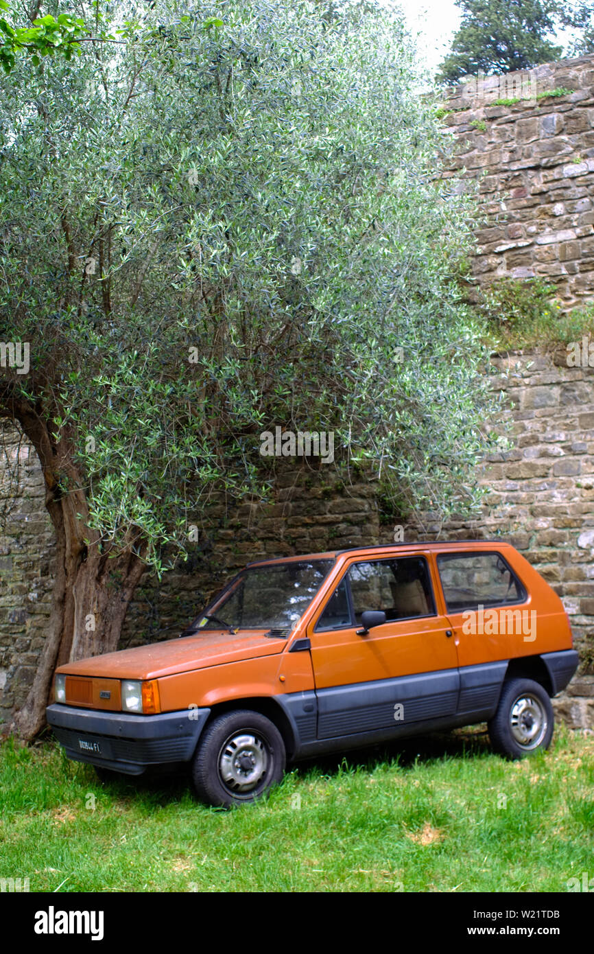 Vintage Fiat Panda neben einer alten Mauer und ein Olivenbaum geparkt. Florenz Grenzen in der Nähe von Forte Belvedere. Toskana, Italien Stockfoto