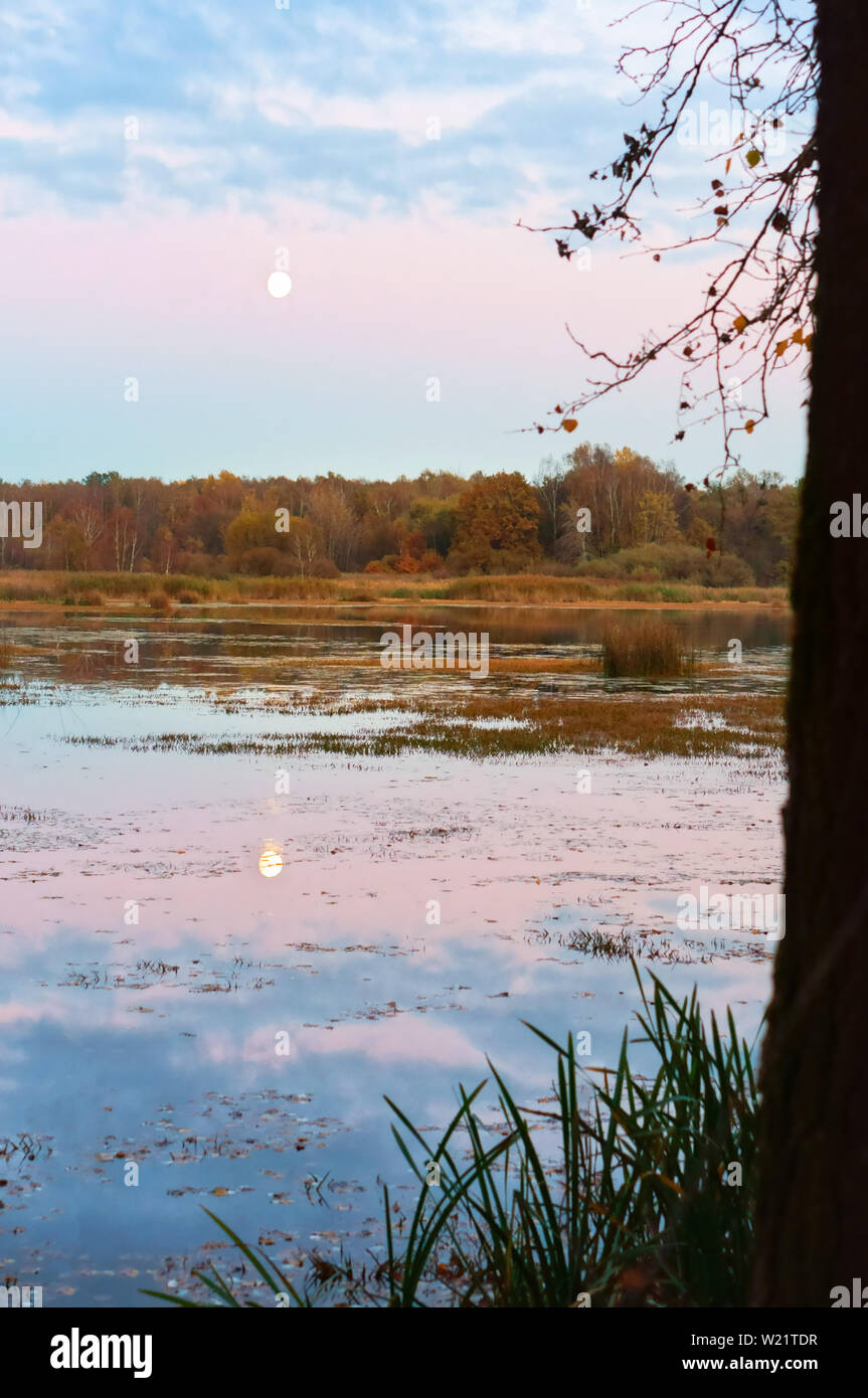 Mondsichel teich Fotos und Bildmaterial in hoher Auflösung Alamy