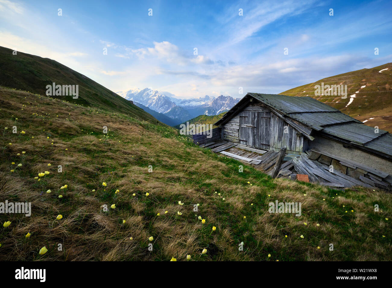 Alte Hütte in den Dolomiten wiesen (Italien). Stockfoto