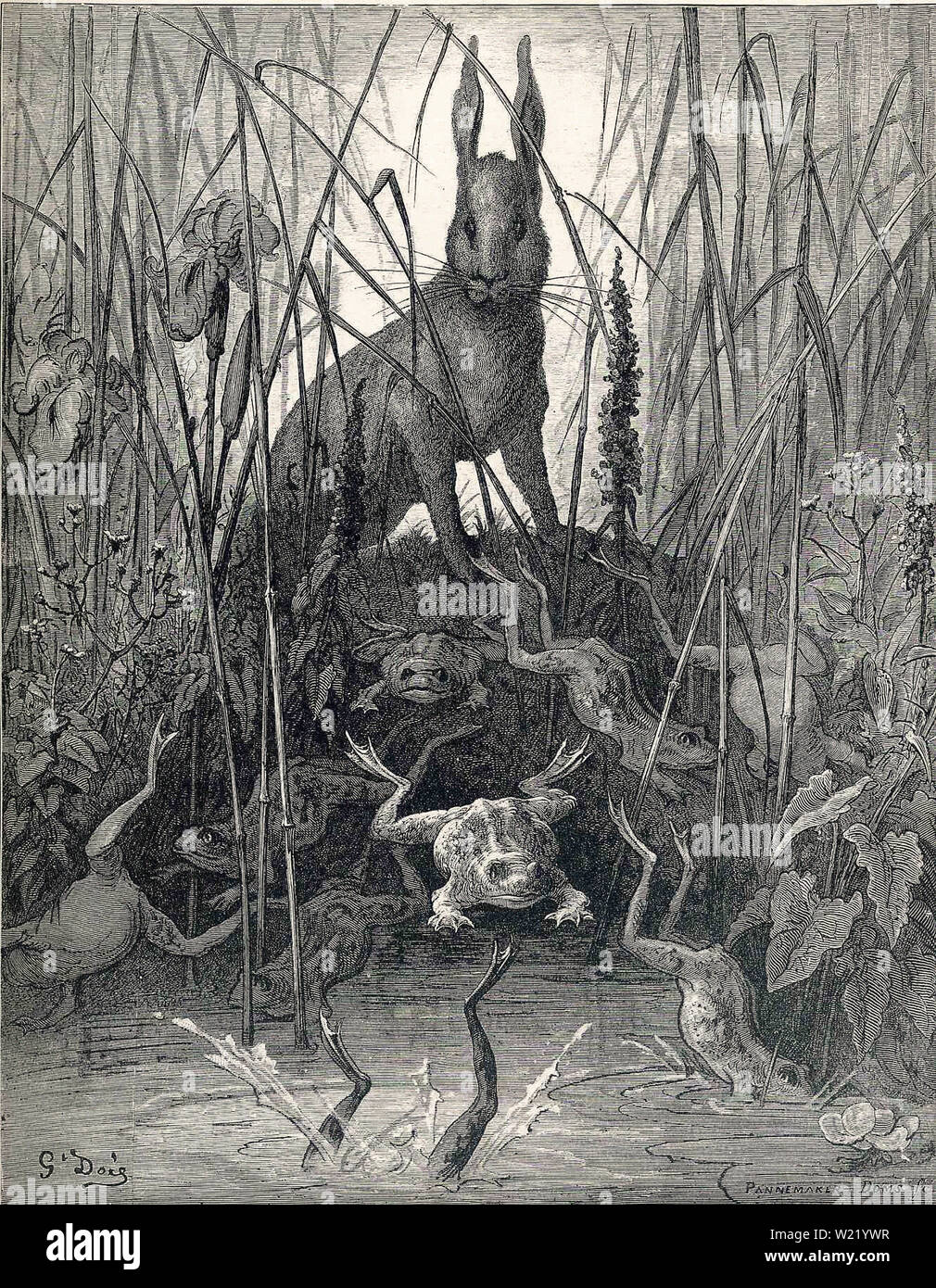 Gustave Doré - Hase Frösche C 1868 Stockfoto