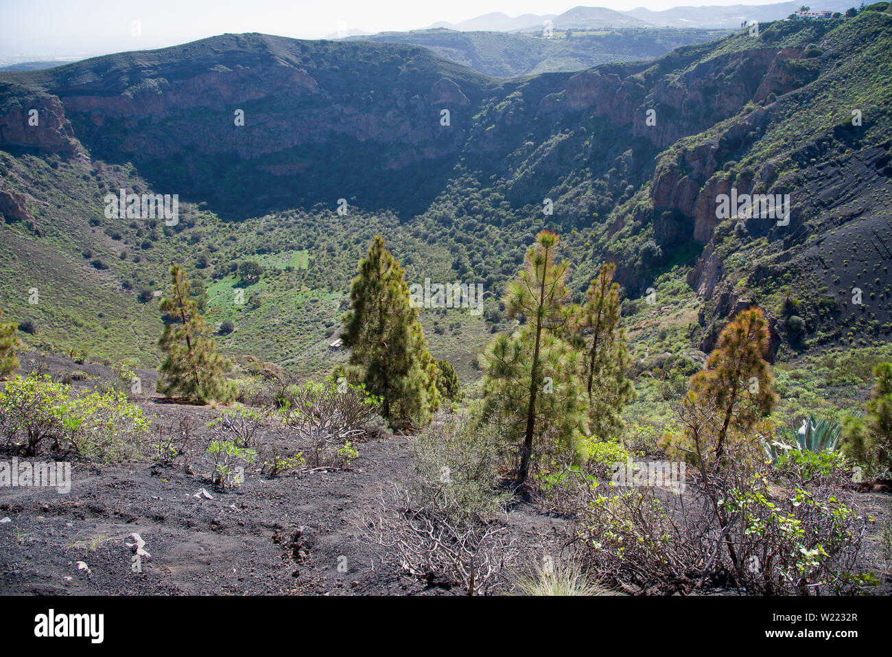 Die vulkanischen Krater 1000m im Durchmesser und 200 m Tiefe - Caldera de Bandama, Gran Canaria, Spanien Stockfoto