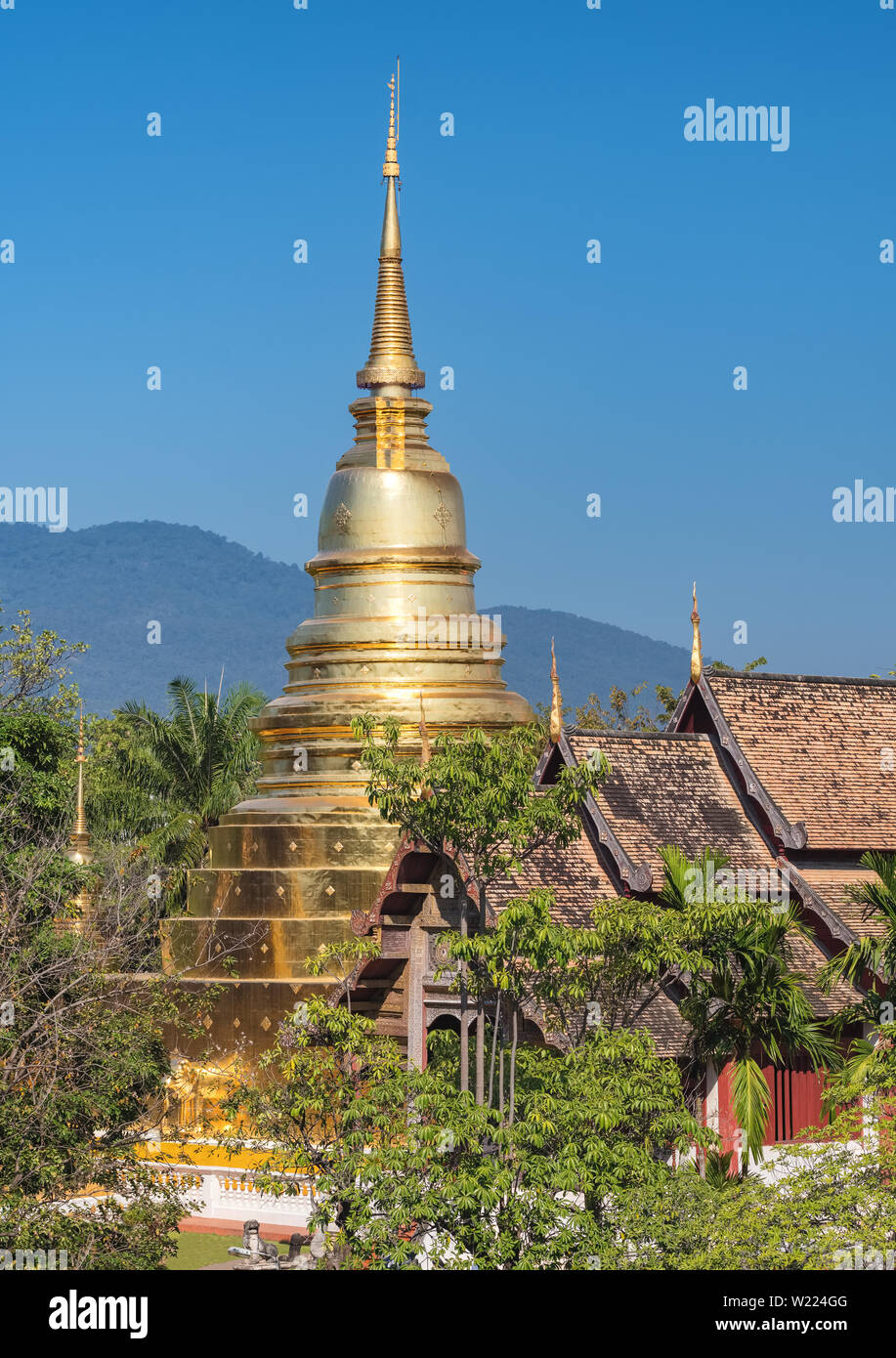 Wat Phra Singh Tempel in Chiang Mai, Thailand Stockfoto