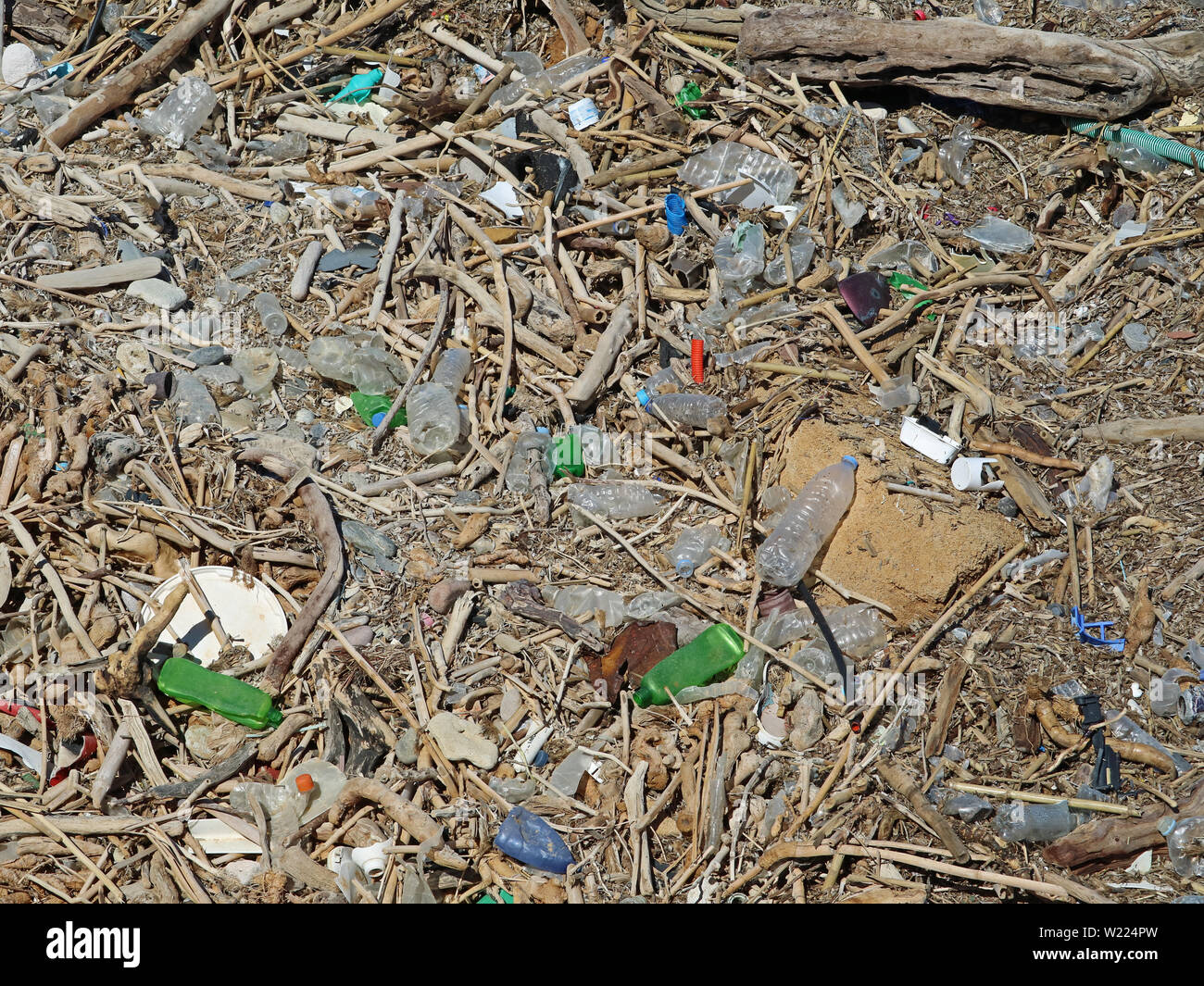 Dirty Plastikflaschen und Abfällen auf den Stein Strand zwischen drift wood. Umweltverschmutzung Stockfoto