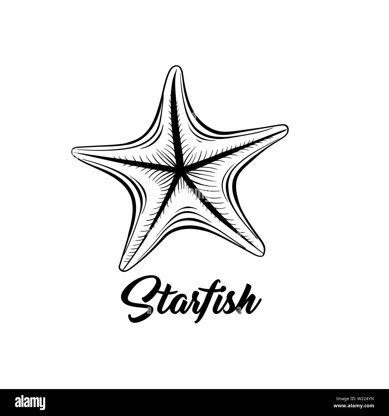 Starfish schwarz und weiß Vector Illustration. Sealife Salzwasser Kreatur Freihandzeichnen. Marine Fauna, ozeanische wirbellose Tiere Hand gezeichnet Gravur mit Kalligraphie. Postkarte design Element Stock Vektor