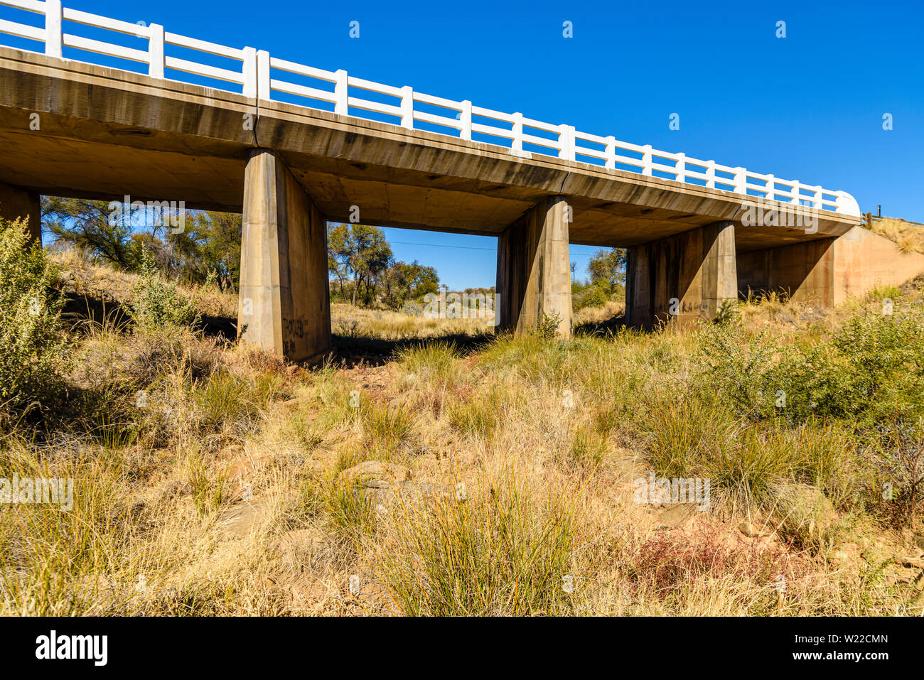 Nach einer nicht existierenden Regenzeit leidet Namibia unter einer schweren Dürre. Normalerweise gefüllte und fließende Flüsse sind vollständig ausgetrocknet Stockfoto