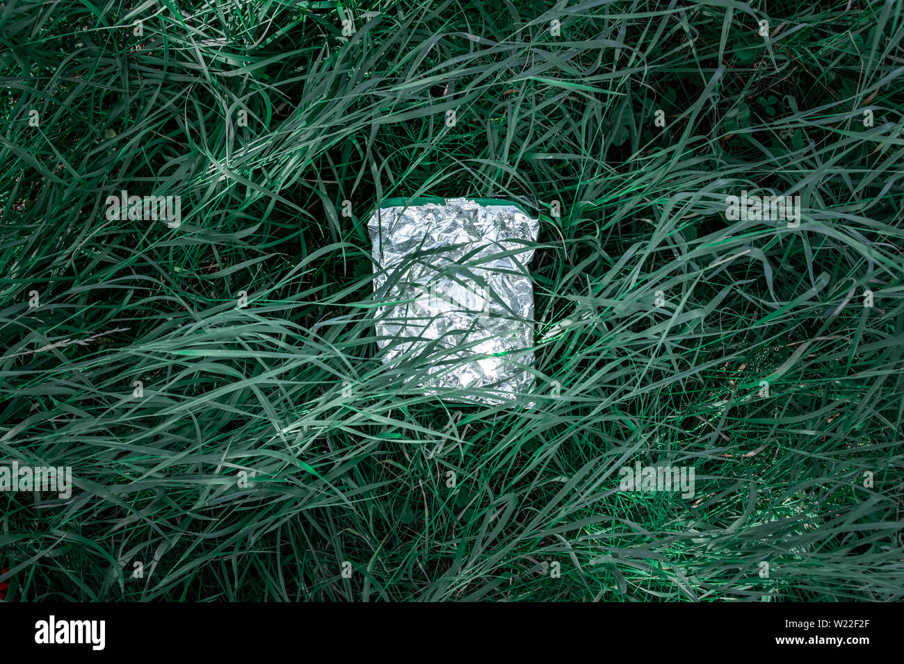 Plastikbeutel im grünen Gras, Natur Umweltverschmutzung Konzept. Stück Kunststoff Papierkorb (leer essen Paket) weggeworfen auf einem Rasen Stockfoto