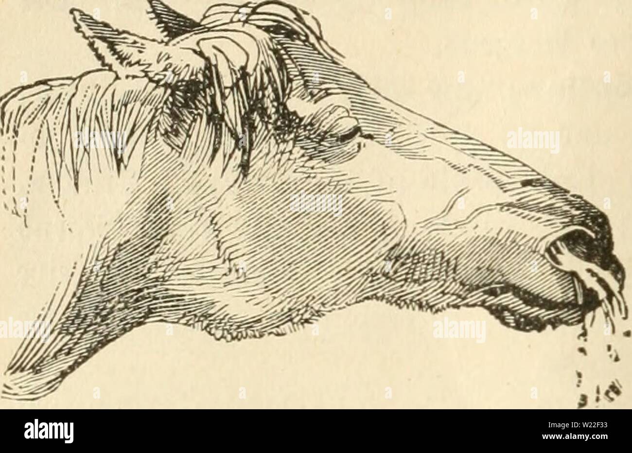 Ae Ro Stockfotos Und Bilder Kaufen Alamy