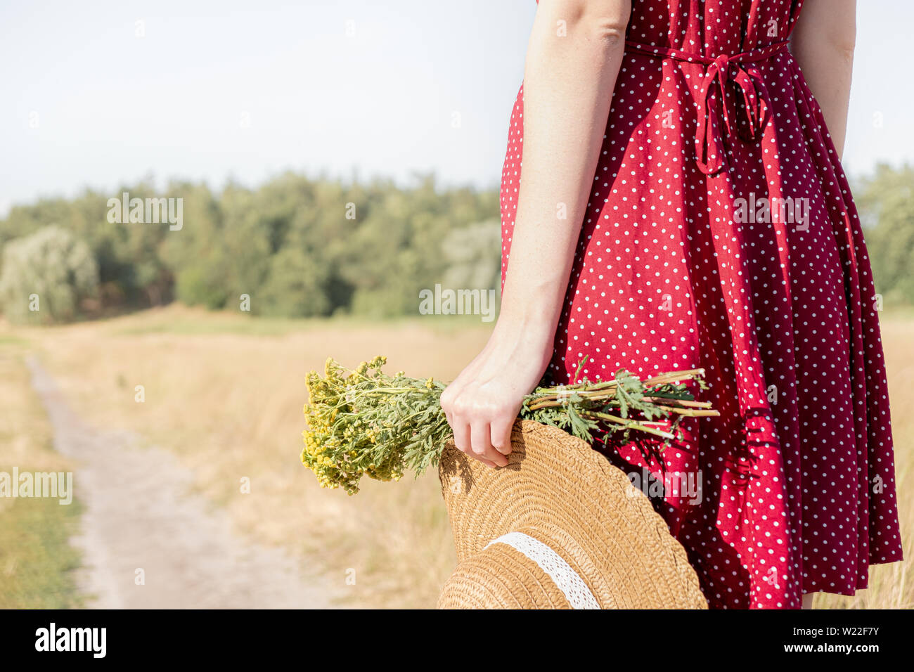 Frau hält Bündel Feld Blumen und einen Hut im Hintergrund. Ländliche Szene: Weibliche in Polka-dot-Kleid mit Landwirt hat und Blumenstrauß in der Hand, Clo Stockfoto