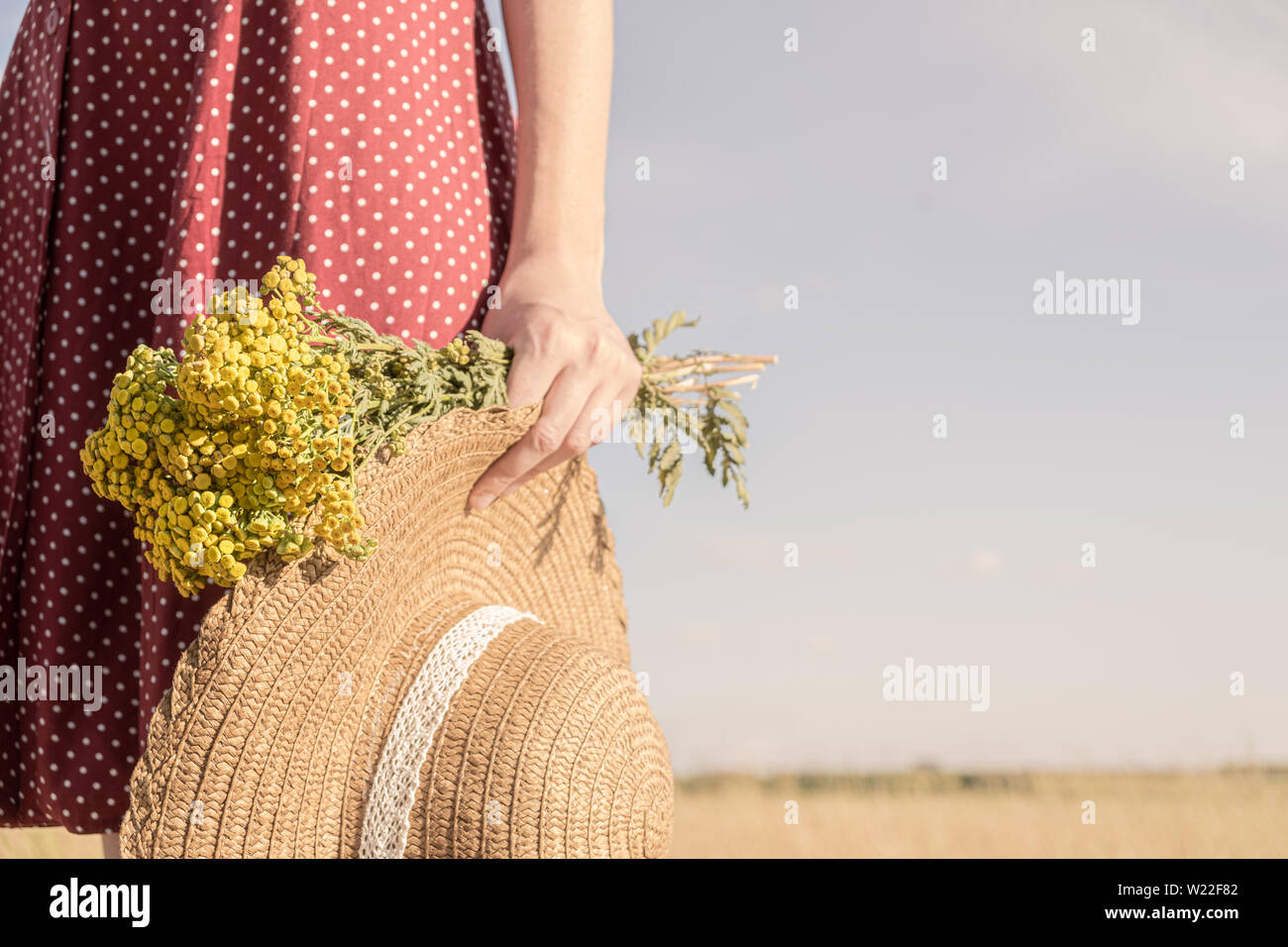 Frau hält Bündel Feld Blumen und einen Hut. Ländliche. Szene: Nahaufnahme der weiblichen im gepunkteten Kleid mit Landwirt hat und Blumenstrauß in der Hand. Stockfoto