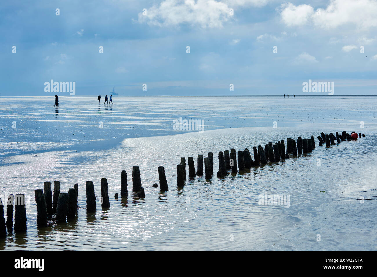 Holzpfähle im Watt Stockfoto