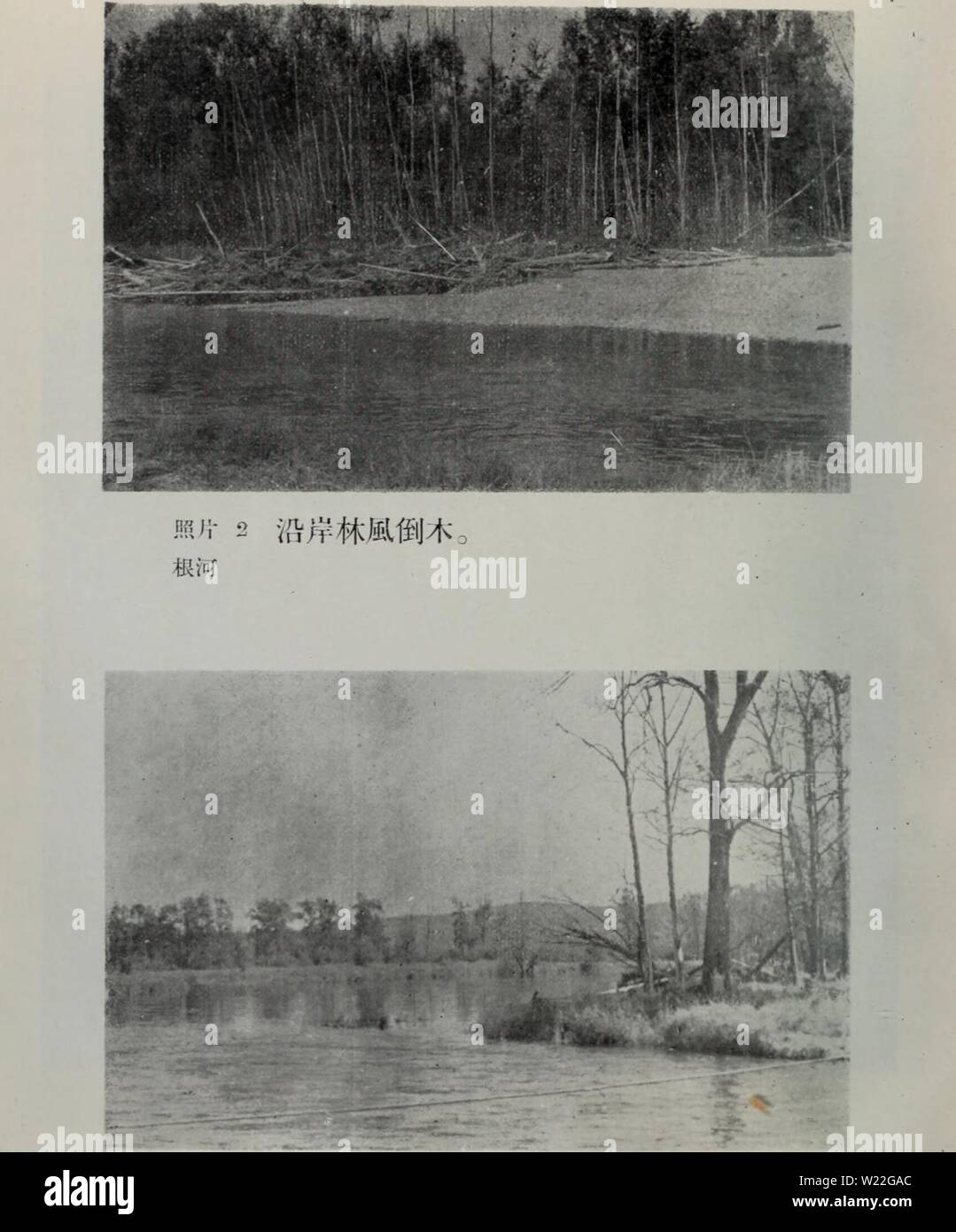 Archiv Bild von Seite 15 der da Xing ein Ling sen. da Xing ein Ling sen Lin Zi Yuan diao Cha bao Gao daxinglingsenlin 06 tezh Jahr: 1955 ml - 3 河床附塞 枳河 Stockfoto