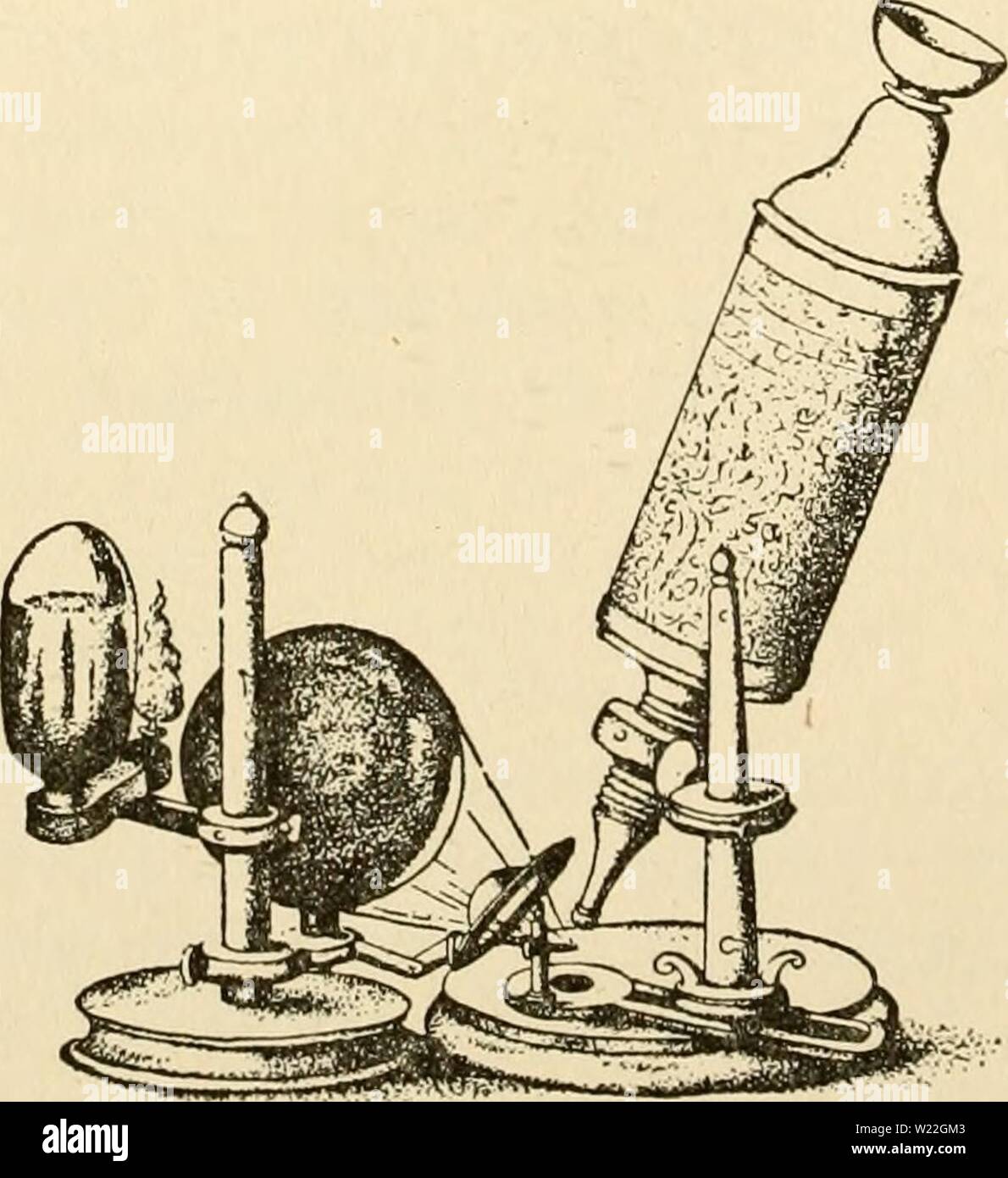 Archiv Bild von Seite 15 Der cytoplasma der Pflanze. Das zytoplasma der pflanzlichen Zelle cytoplasmofplant 00 guil Jahr: 1941 Kapitel 16. Die ROLLE DER VAKUOLENMEMBRAN SYSTEM UND HYPO-Thesen zu ES 188 Kapitel 17. Golgi-apparat, CANALICULI von HOLMGREN UND ANDERE CYTOPLASMATISCHE FORMATIONEN: - GOLGI APPARA- tus und die canaliculi von holmgren in tierischen Zellen - mögliche Beziehungen Der vakuolenmembran System für Geräte der golgi und holmgren - Beziehungen zwischen dem Golgi-apparat und der chondriosomes und PLASTIDEN, den so genannten Golgi-apparat in pflanzlichen Zellen - Andere cytoplasmatische für Stockfoto