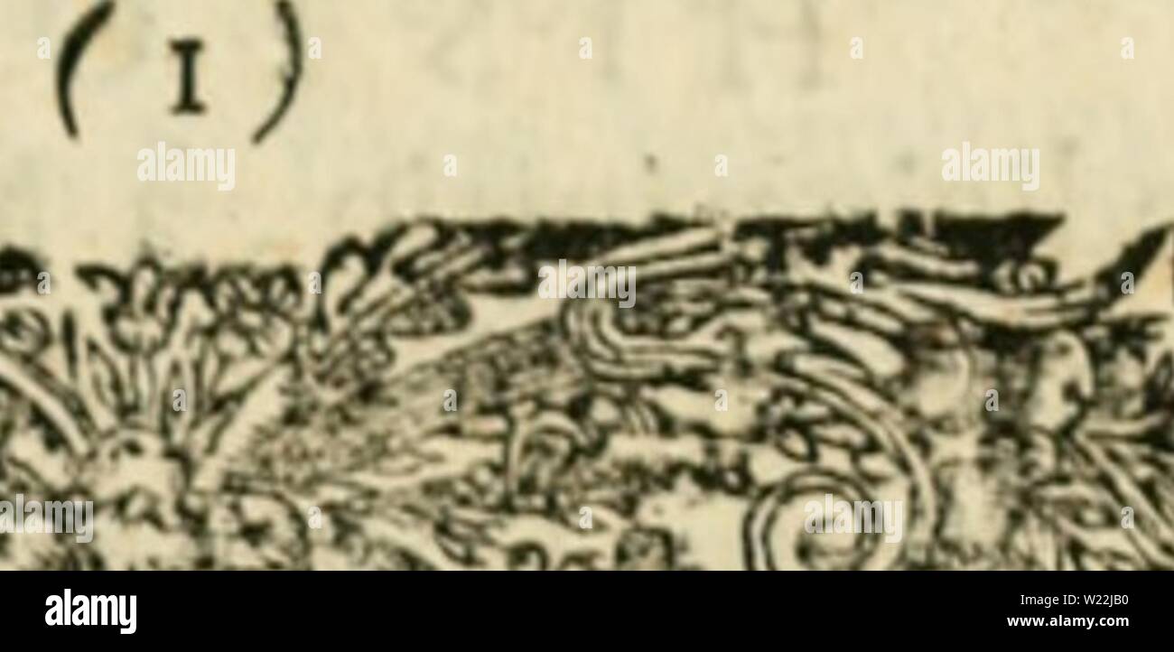 Archiv Bild von Seite 20 der Danielis Clerici, med doct Historia. Danielis Clerici, med. doct. Historia Naturalis et Medica latorum lumbricorum, intra hominem & anderem Animalia, nascentium, ex variis auctoribus & propriis observationibus danielisclericim 00 lecl Jahr: 1715 jp> r.<"" - ich.? $ = v?5'.'i L H I S T O R I iC LATORUM LUMBRICORUM CAPUT PRIMUM - HumAYii Corporis Vermes quiclam duium vif bei parum haHcnus noti männlichen faltem defcr/PTI, Tria Vermium mtejlna tiumgenera incolen - eine Gr £ cis i Latinis Meclicis diflin [la Teretes, Af-carities, c Lati, alias Txnix diEli, ca. latos Magnus inter Stockfoto