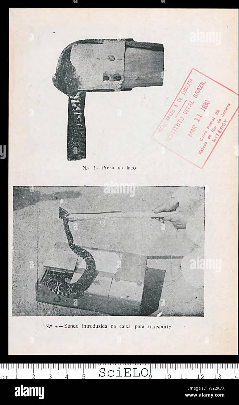 Archiv Bild von Seite 22 Der defesa contra o ophidismo. Ein defesa contra o ophidismo defesacontraoop 00 Braz Jahr: 1911 Stockfoto