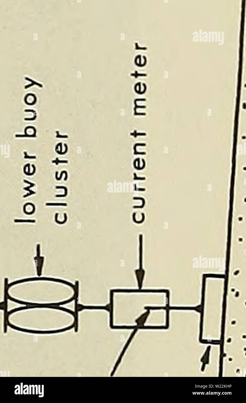 Archiv Bild von Seite 22 Der tiefe Ozean biologischen Materialien (1965). Deep-ocean biologischen Materialien deepoceanbiodete 03 mura Jahr: 1965 & Stockfoto