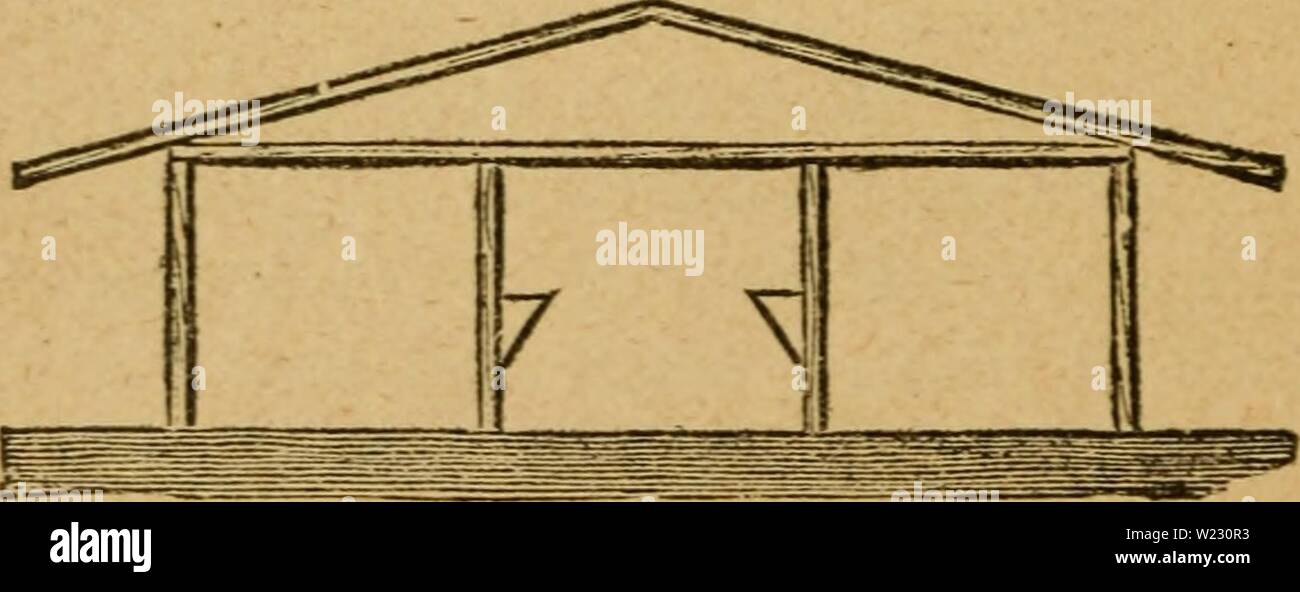 Archiv Bild ab Seite 121 Der milchmann Handbuch; eine praktische. Der milchmann Handbuch; eine praktische Abhandlung über die Molkerei dairymansmanualp 00 Eintopf Jahr: 1888 116 Der MILCHMANN S HANDBUCH. ausgeht, fünf von zehn Fuß, und eine lose, für eine Kuh sieben und eine Hälfte von 10 Fuß, mit einer Passage, in wbicli ist ein Feed bin, Raum für ein Futter Cutter und Futtermittel, und die Treppe zum Heuboden. Über den Feed Box ist ein Heu shute vom Loft oben. Das Geflügel - Haus grenzt an die Passage, aus der T&gt; vo Türen öffnen. Dieses Haus ist von zwölf Fuß 18 und hat eine schräge Front aus glasierten Flügel. Die Polnisches Amtsblatt PICS Stockfoto