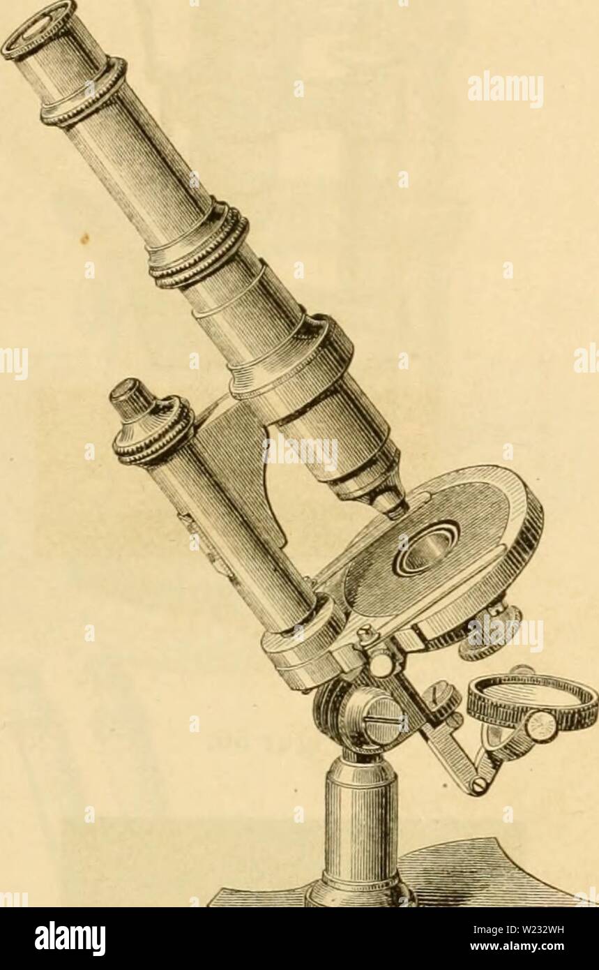 Archiv Bild ab Seite 128 von Das Mikroskop, Theorie und Anwendung. Das Mikroskop, Theorie und Anwendung desselben dasmikroskoptheo 01 ng Jahr: 1867 sterben Stativ der neueren Optiker. 109 Kondensatoren eine andere. This werdener nämlich von unten in die Hülse D (Abb. 52) eingeschoben, welche bin Objectisch ein Mittelst einer um einen peripherischen Punct drehbaren Platte befestigt ist. Archiv Sindh- zu sterben im Katalog als Nr. 1 - 7 aufgeführ-ten mittelgrossen und kleinen Stativ mit Vnd ohnemus Horizontalstellung iM. moyen Modele inclinant et Droit [Abb. 53 u. 54]; M.petit Modele inclinant et dr Stockfoto