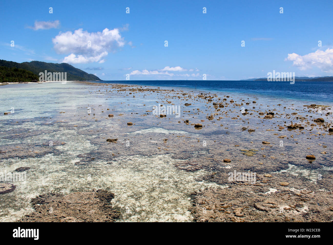 Fast trocken Korallenriff mit Felsen und Sand unter klaren Wasser an der Küste der Insel Kri, Raja Ampat, Süd-Ost-Asien. Stockfoto