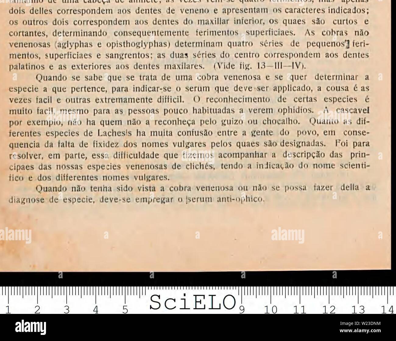 Archiv Bild von Seite 157 Eines defesa contra o ophidismo. Ein defesa contra o ophidismo defesacontraoop 00 Braz Jahr: 1911 Stockfoto