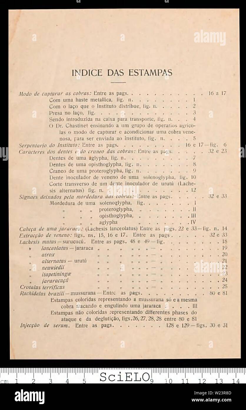 Archiv Bild von Seite 180 Eines defesa contra o ophidismo. Ein defesa contra o ophidismo defesacontraoop 00 Braz Jahr: 1911 Stockfoto