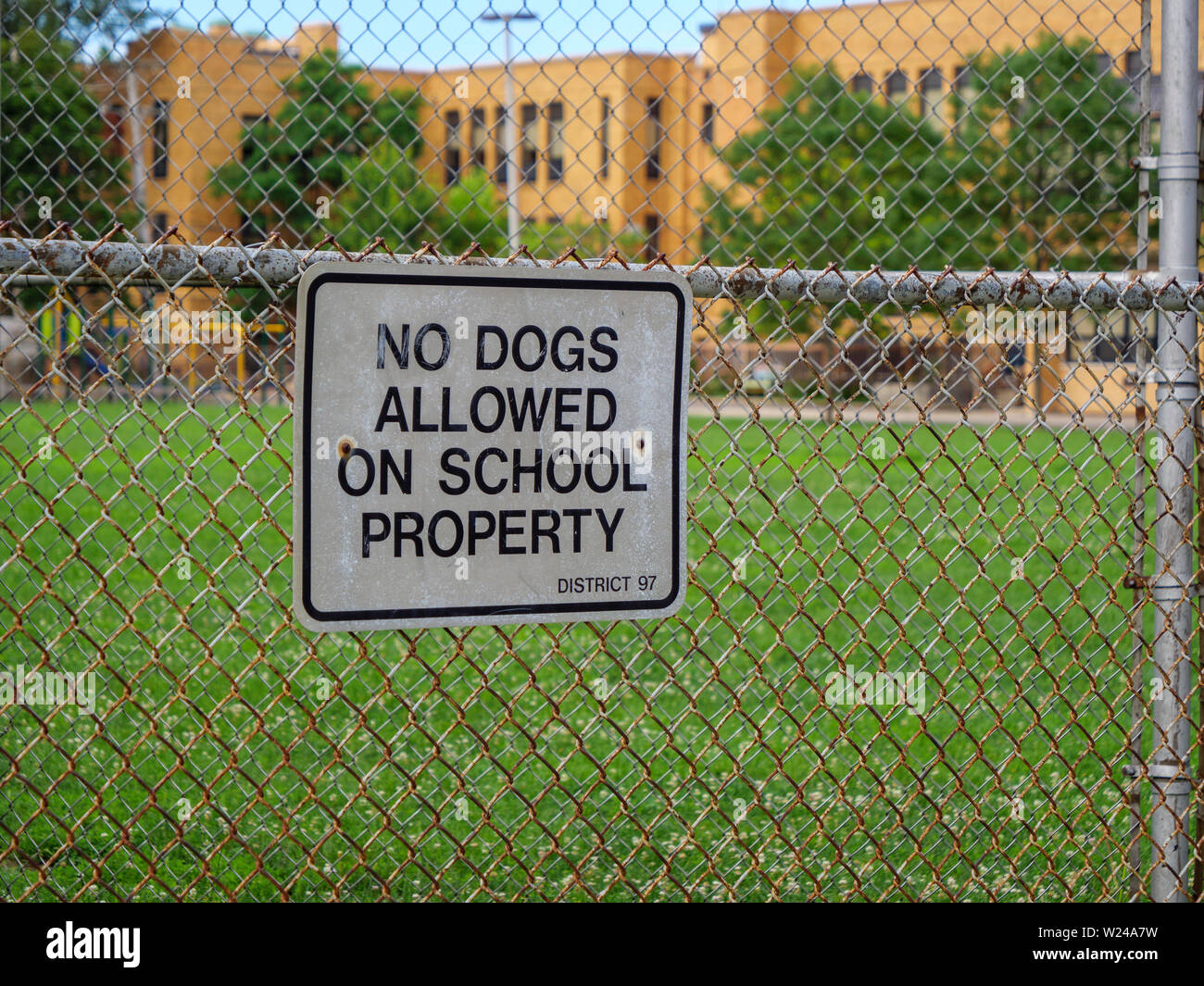 Keine Hunde auf Schule Eigenschaft Zeichen erlaubt. Oak Park, Illinois. Stockfoto