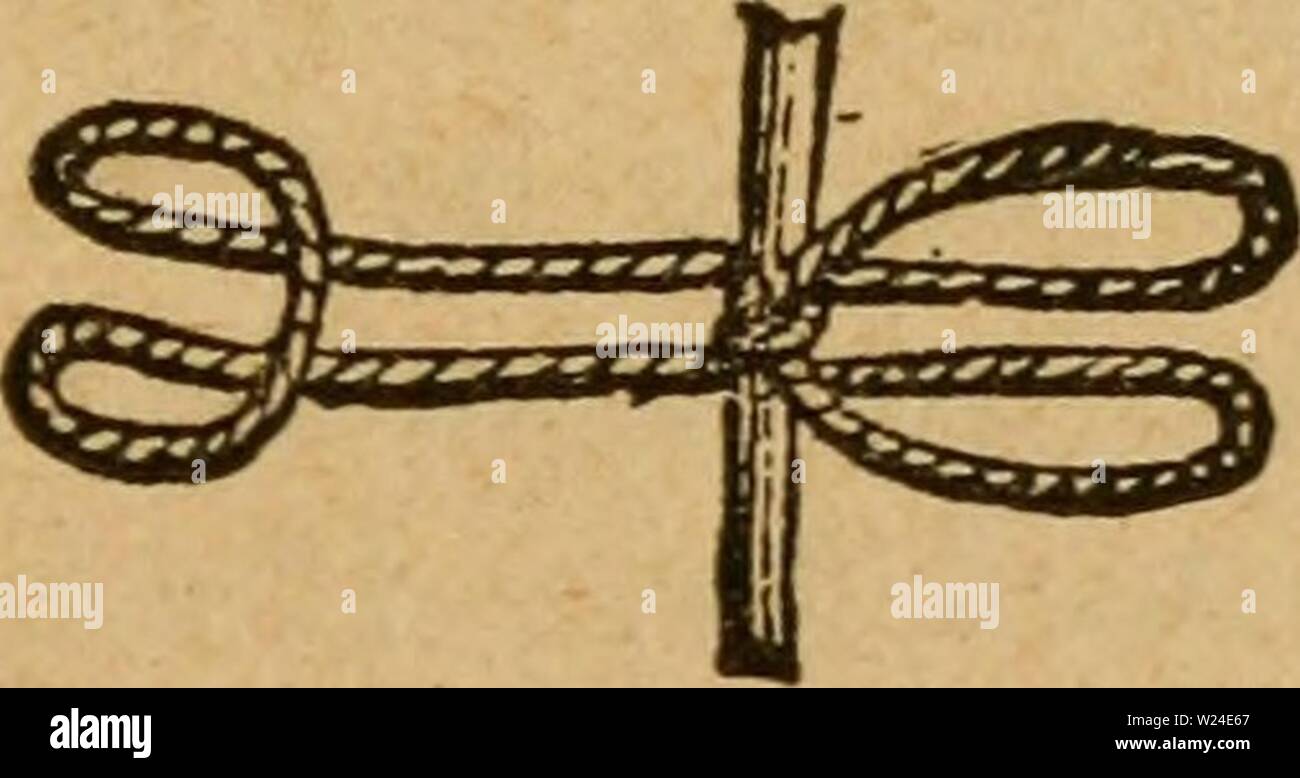 Archiv Bild von Seite 232 des käser's Manual; eine praktische. Der milchmann Handbuch; eine praktische Abhandlung über die Molkerei dairymansmanualp 01 Eintopf Jahr: 1888 Abb. 30.-TIE-FOB KICKING KUH. Eine dauerhafte Heilung in den Fällen, in denen die Störung hat pro-von Grausamkeit und schlechtes Management produziert. Manchmal Art-ness ist nicht effektiv, da wo eine Kuh leidet unter Wunde Zitzen, wenn Sie sich nicht die Schuld für das treten werden. Es ist dann notwendig, das Bein in einer sehr einfachen Weise zu binden. Es ist durch die Verwendung einer Befestigung in irischen und schottischen Molkereien durchgeführt, und als spancel bekannt. Es besteht aus einem loop Schnur über Stockfoto