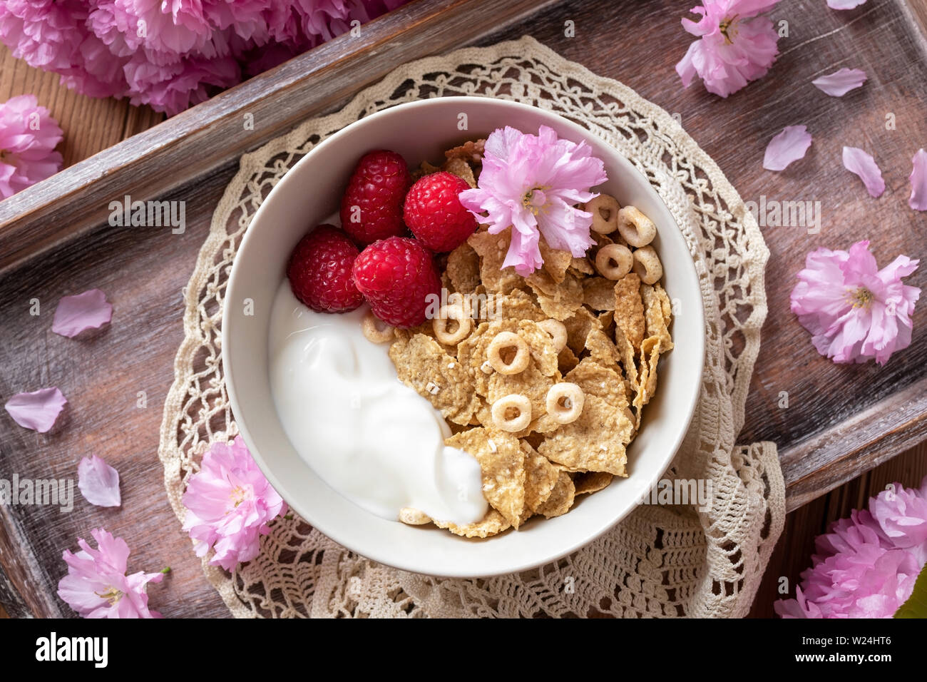 Frühstück Müsli mit Joghurt und Himbeeren, mit rosa kwanzan Kirschblüten Stockfoto