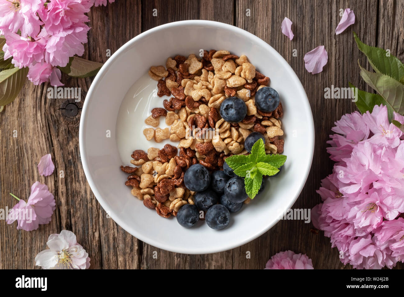 Frühstück Müsli mit Joghurt und Blaubeeren, mit rosa kwanzan Kirschblüten Stockfoto