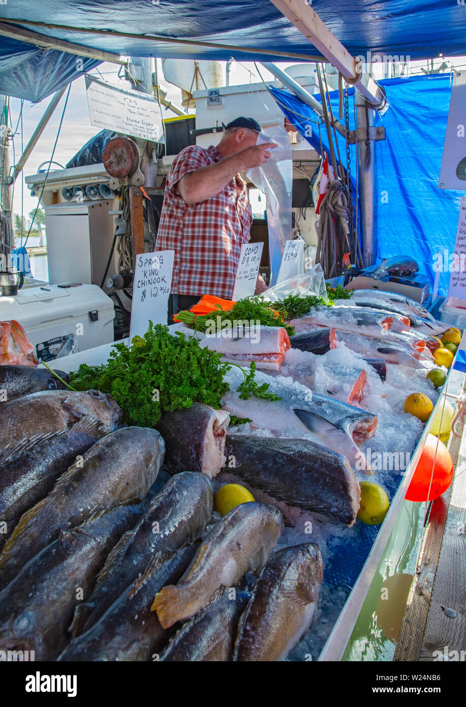 Kanada, British Columbia, Steveston, Fisherman's Wharf, Meeresfrüchte Verkauf direkt vom Boot aus Stockfoto