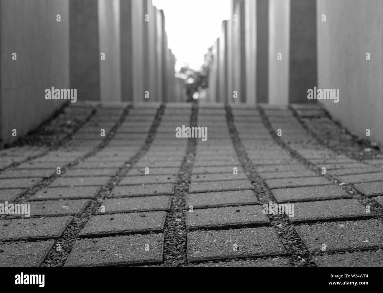 Betonplatten am Denkmal für die ermordeten Juden Europas von Peter Eisenman. Das Denkmal ist in der späten Nachmittagssonne fotografiert. Stockfoto